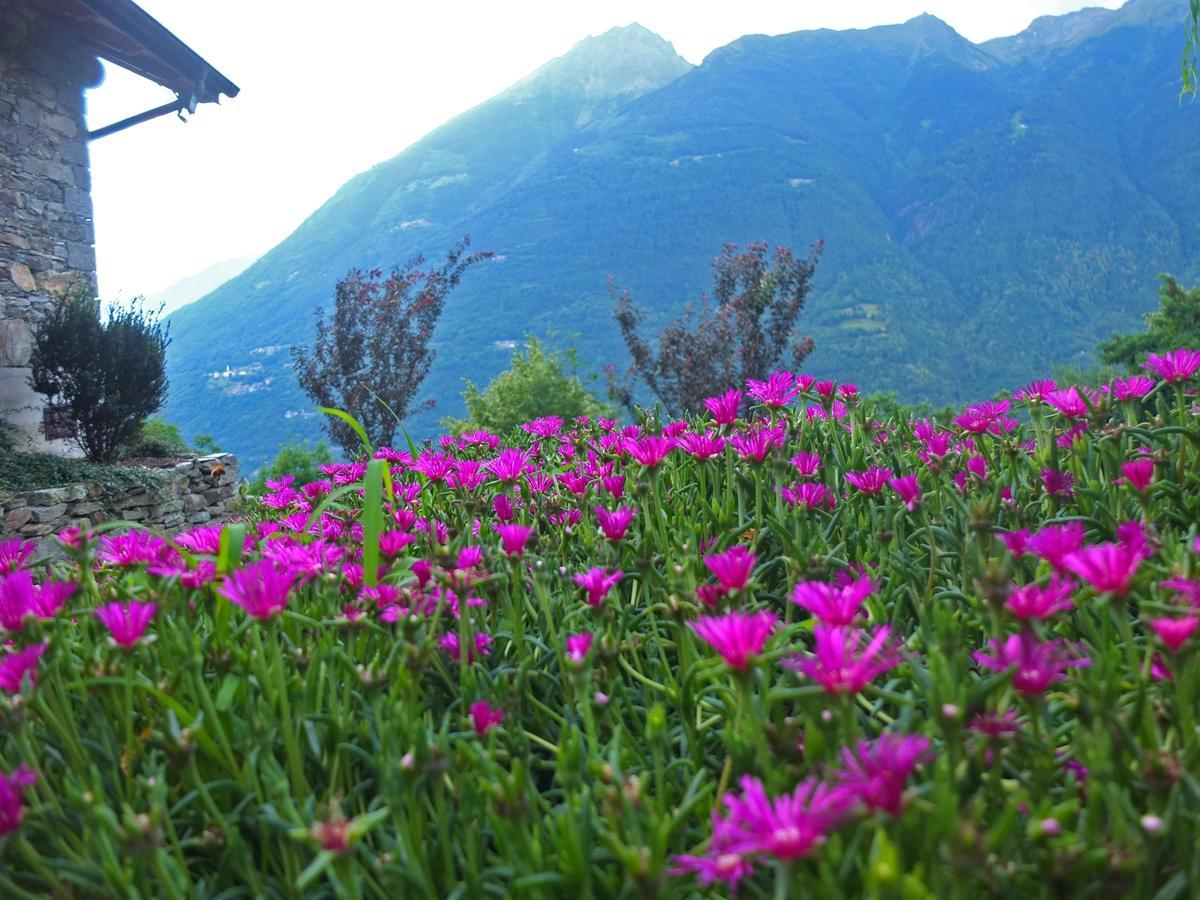 Вілла Agriturismo Al Castagneto Mazzo di Valtellina Екстер'єр фото