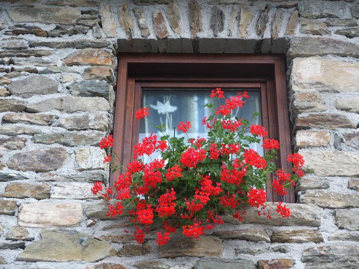 Вілла Agriturismo Al Castagneto Mazzo di Valtellina Екстер'єр фото